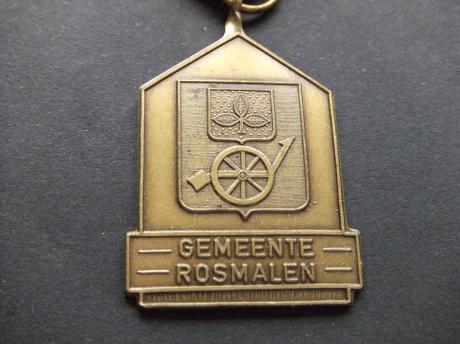 Rosmalen (Noord-Brabant ) ontvangst der kampioenen 1983
